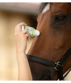 New Anti-insectes à l'huile de neem , applicateur à bille Produits Anti-Mouches