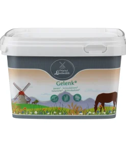 New Articulations + Aliments Complémentaires