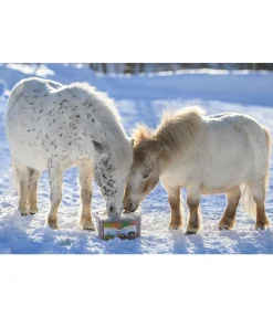 Clearance Assortiment de friandises Friandises & Récompenses