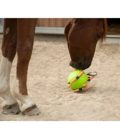 Clearance Balle de jeu Jouets Pour Chevaux