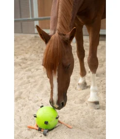 Clearance Balle de jeu Jouets Pour Chevaux