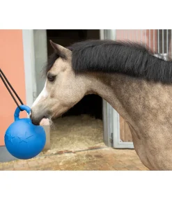 Sale Balle de jeu Bruno Jouets Pour Chevaux|Équipement Pour Le Box
