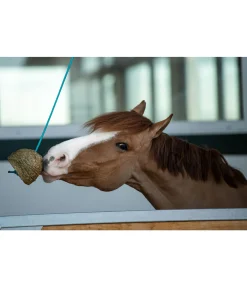 Hot Balle de jeu carotte Friandises & Récompenses|Pierres À Lécher & Accessoires