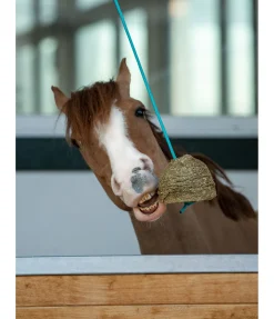 Hot Balle de jeu carotte Friandises & Récompenses|Pierres À Lécher & Accessoires