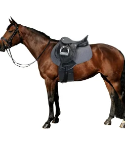 Best Bande de respect Éperons|Lanières D´Éperons