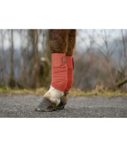 Discount Bandes en polaire Sparkling II Bandes & Sous-Bandages