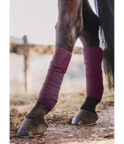 New Bandes en polaire Sparkling II Bandes & Sous-Bandages