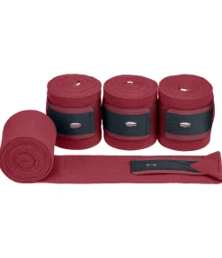 Bandes polaire Basic Bandes & Sous-Bandages