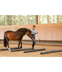 Online Barre multifonction Equipement De Carrière & Manège