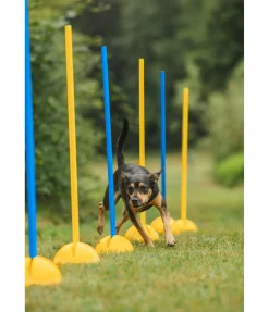 New Barres d'agility Agility