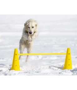 Online Barres d'agility Agility