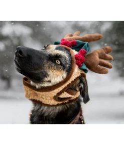 New Bois de rennes pour chien Rudolf Accessoires Pour Chien