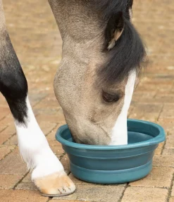 Hot Bol à muesli pliable Équipement Pour Le Box|Seaux & Mangeoires