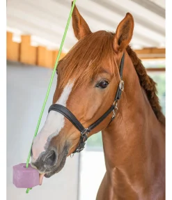 Discount Bonbon à lécher Cerise Pierres À Lécher & Accessoires