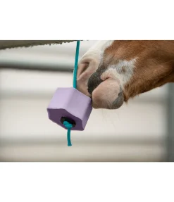 New Bonbon à lécher Lolly Rêve d'hiver Pierres À Lécher & Accessoires