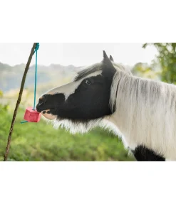 Clearance Bonbon à lécher Pastèque Pierres À Lécher & Accessoires