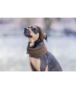 Outlet Bonnet pour chien Evin Accessoires Pour Chien
