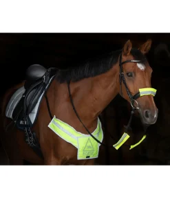 Best Bricole réfléchissante Colliers De Chasse & Martingales