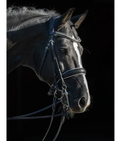 Sale Bride Grand Prix Muserolle Suédoise & Brides