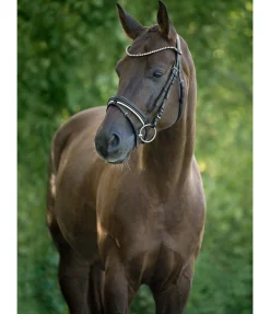 New Bridon Ally Muserolle Française & Combinée