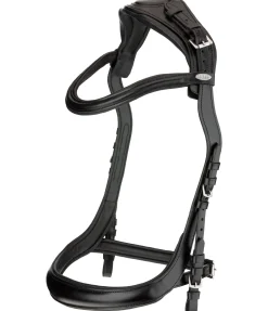 Online Bridon Anatomical Vision Space Muserolle Française & Combinée