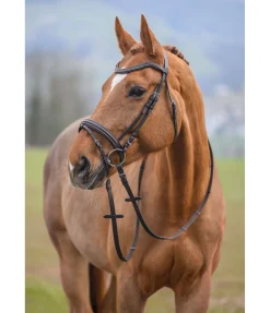 Clearance Bridon Beauty Muserolle Française & Combinée