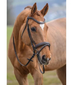 Clearance Bridon Beauty Muserolle Française & Combinée