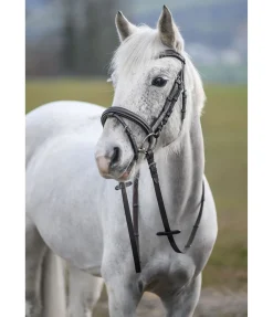 Clearance Bridon Beauty Muserolle Française & Combinée