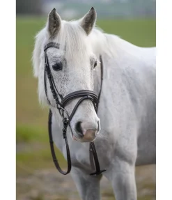 Clearance Bridon Beauty Muserolle Française & Combinée