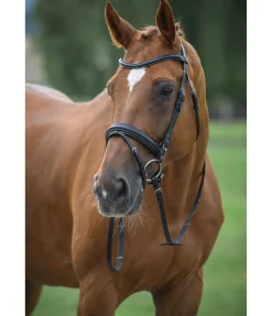 Bridon Candy Muserolle Française & Combinée