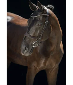 Bridon Comfort Space Muserolle Française & Combinée