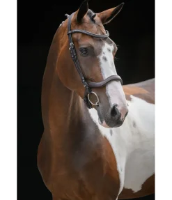 Bridon Comfort Space Muserolle Française & Combinée