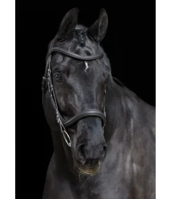 Online Bridon Gently Anatomical Innovation Muserolle Française & Combinée