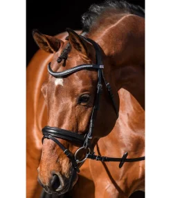 Sale Bridon Marley Muserolle Française & Combinée