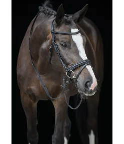 Sale Bridon Melodie Muserolle Française & Combinée