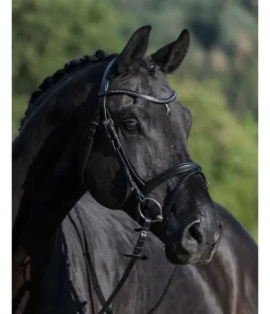 New Bridon Panama Muserolle Française & Combinée