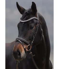 Outlet Bridon Rosalinde Muserolle Française & Combinée