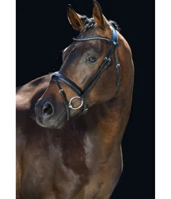 Hot Bridon Shiny Gloss Muserolle Française & Combinée