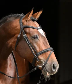 Hot Bridon Soft Comfort Muserolle Française & Combinée