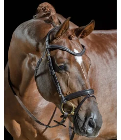 Hot Bridon Soft Comfort Muserolle Française & Combinée