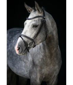 Clearance Bridon Stitch Muserolle Française & Combinée