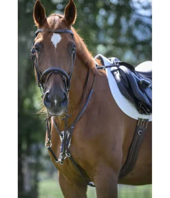 Sale Bridon Stitch Muserolle Française & Combinée