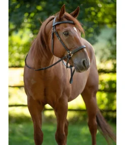 Sale Bridon de randonnée Nevada Bridons Sans Embouchures