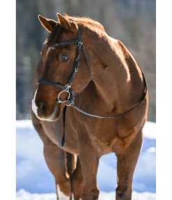 Sale Bridon de randonnée Nevada Bridons Sans Embouchures