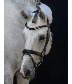 Outlet Bridon FELIX BÜHLER Classy Comfort Muserolle Française & Combinée