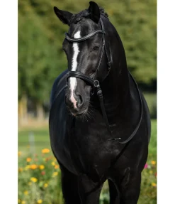 Discount Bridon sans embouchure Gentle Connection Bridons Sans Embouchures