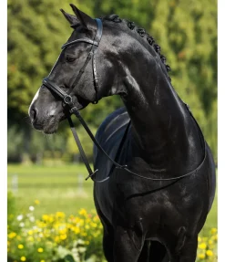 Discount Bridon sans embouchure Gentle Connection Bridons Sans Embouchures