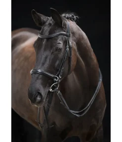 Hot Bridon sans mors 5 en 1 Muserolle Française & Combinée|Bridons Sans Embouchures