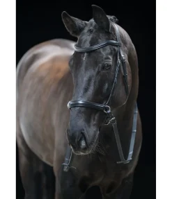 Hot Bridon sans mors 5 en 1 Muserolle Française & Combinée|Bridons Sans Embouchures