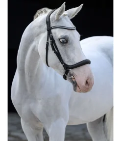 Best Bridon sans noseband Vienna Soft Muserolle Française & Combinée